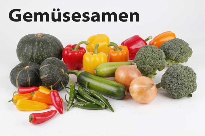 Gemüse - bewährtes und besonderes