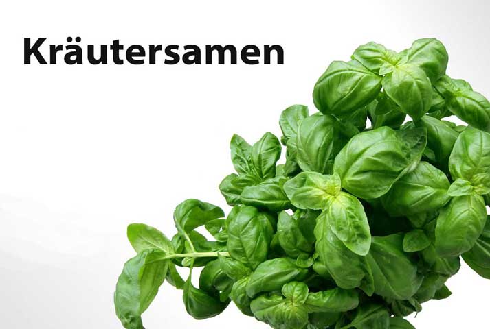 bewährte Kräuter und Heilsames