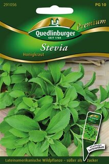 Stevia Honigkraut (S&uuml;&szlig;kraut)