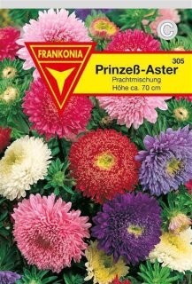 Astern Prinze&szlig; Frankonia Samen