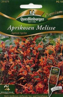 Aprikosen Melisse