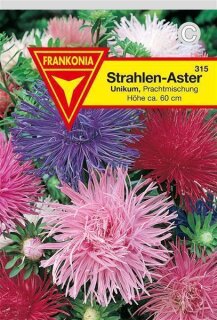 Strahlen-Astern Unikum Frankonia Samen