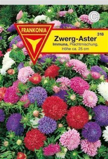 Zwerg-Astern Prachtmischung Frankonia Samen