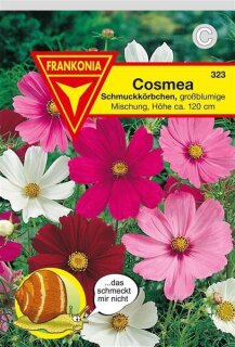 Schmuckk&ouml;rbchen Frankonia Samen