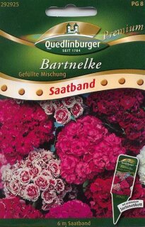 Bartnelke Gefüllte Mischung