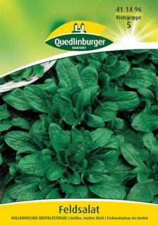 Feldsalat Holländischer breitb
