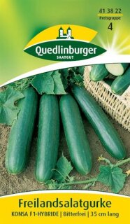 Freiland-Salatgurke Konsa