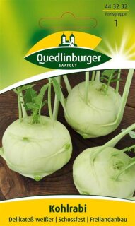 Kohlrabi Delikate&szlig; wei&szlig;er