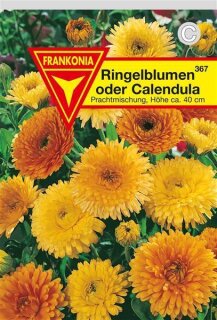 Ringelblume Prachtmischung Frankonia Samen