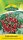 Balkontomate Balconi Red
