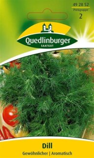 Dill Gew&ouml;hnlicher