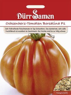 Ochsenherz-Tomate Borsalina F1