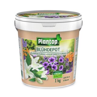 Bl&uuml;hdepot 1 kg