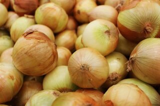 Wintersteckzwiebel Presto 250 g