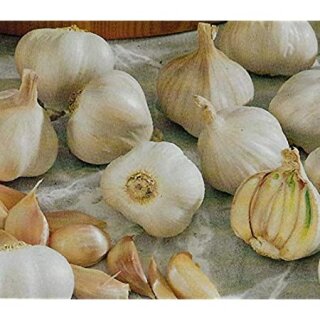 Pflanzknoblauch weiß 150 g