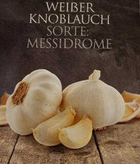 Pflanzknoblauch wei&szlig; 150 g
