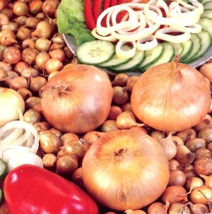 Steckzwiebeln Stuttgarter Riesen 500 g