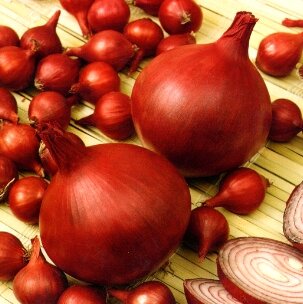 Steckzwiebel Piroska (rot) 250 g