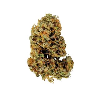 Cannabissamen White Widow Auto - 3 Samen
