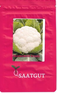 Blumenkohl Frieda