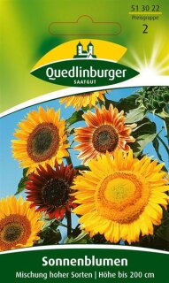 Sonnenblumen Mischung hoher Sorten