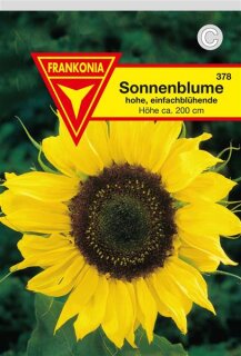 Sonnenblumen einfache hohe Frankonia Samen