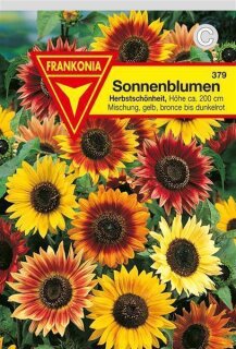 Sonnenblumen Herbstsch&ouml;nheit Frankonia Samen