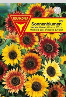 Sonnenblumen Herbstschönheit Frankonia Samen