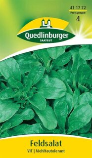Feldsalat Vit