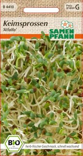 Alfalfa Keimsprossen
