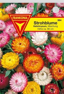 Strohblume gef&uuml;llte Mischung Frankonia Samen