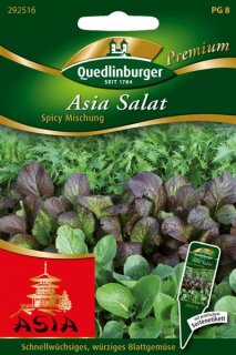 Asia Salat Spicy Mischung