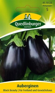 Aubergine Black Beauty