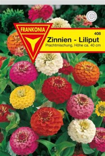 Zinnien Lilliput Mischung Frankonia Samen