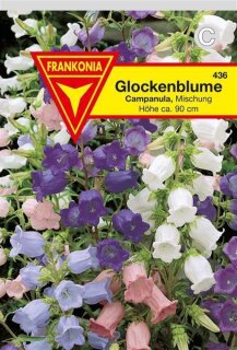 Glockenblume Prachtmischung Frankonia Samen