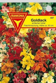 Goldlack hohe Prachtmischung Frankonia Samen