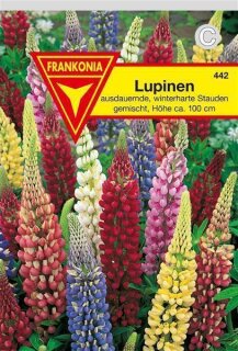 Lupinen Mischung Frankonia Samen