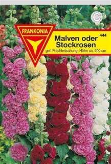 Malven/Stockrosen Frankonia Samen