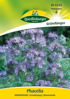 Phacelia Bienenfreund Gr&uuml;nd&uuml;nger