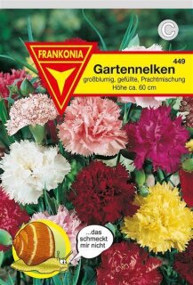 Gartennelken gef&uuml;llte Mischung Frankonia Samen