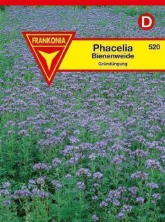 Phacelia Bienenweide Frankonia Samen