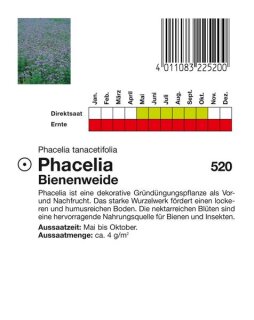 Phacelia Bienenweide