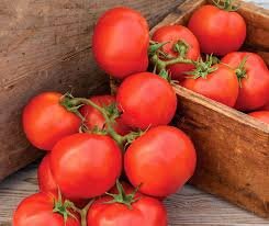 Tomate Oh Happy Day F1