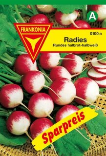 Radies rot-weiß Frankonia Samen