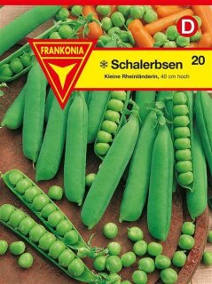 Erbse Kl. Rheinl&auml;nderin Frankonia Frankonia Samen