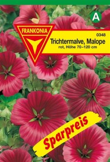 Trichtermalve Malope Frankonia Samen