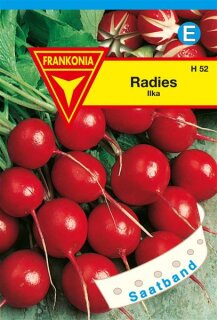 Saatband Radies Ilka Frankonia Samen