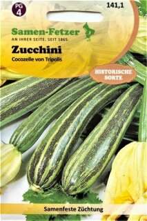 Zucchini Cocozelle von Tripolis