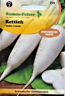 Rettich Wei&szlig;er Fridolin