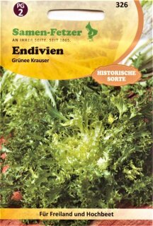 Endivien Grüner Krause